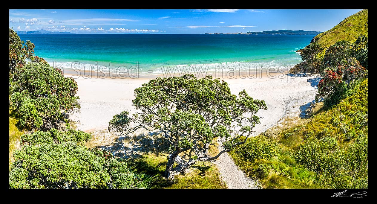 Image of Otama Beach and Otama Bay, with flowering Pohutukawa trees lining the foreshore. Mercury Islands behind. Aerial view, Otama Beach, Coromandel Peninsula, Thames-Coromandel District, Waikato Region, New Zealand (NZ) stock photo image