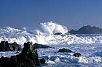 Wild waves in Wellington.