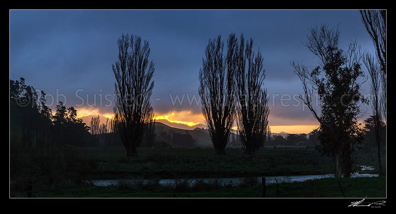 Image of Moody rural sunset at Flaxbourne River, looking towards the Haldon Hills, with tree silhouettes. Panorama, Ward, Marlborough District, Marlborough Region, New Zealand (NZ) stock photo image