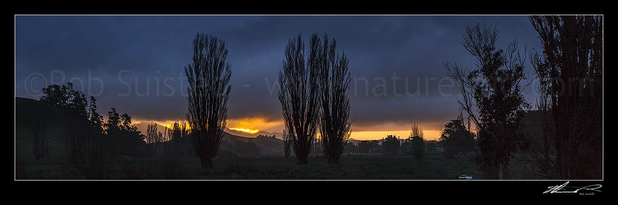 Image of Moody rural sunset at Flaxbourne River, looking towards the Haldon Hills, with tree silhouettes. Panorama, Ward, Marlborough District, Marlborough Region, New Zealand (NZ) stock photo image