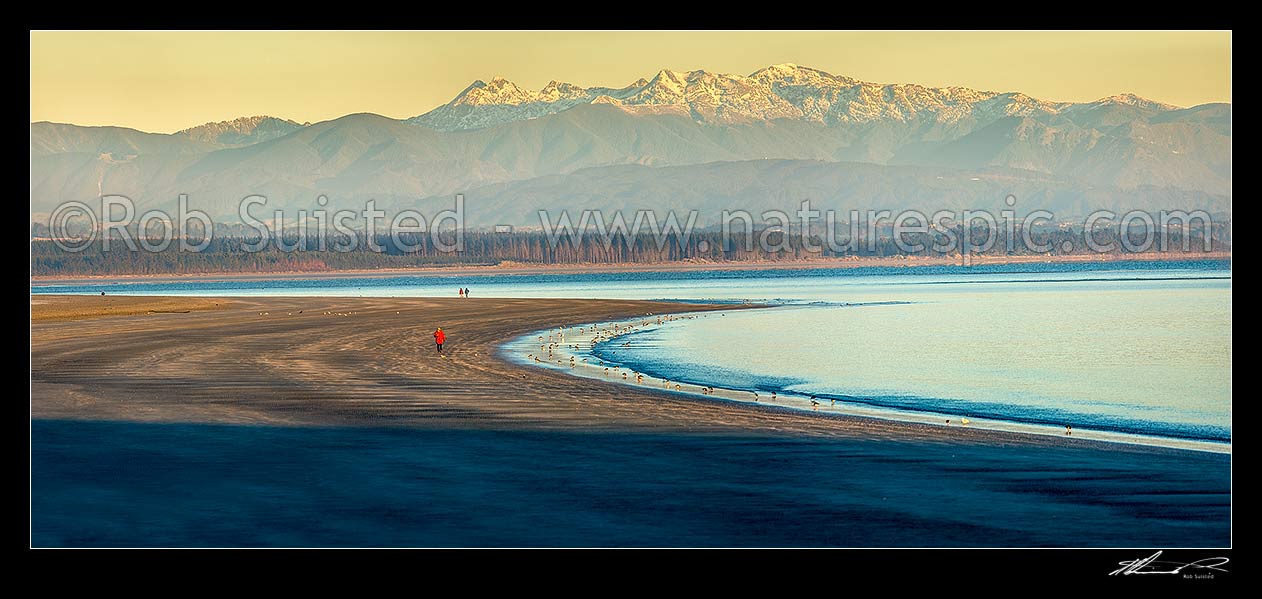 Image of Tahunanui Beach in Tasman Bay. Rabbit Island and the Arthur Range in Kahurangi National Park beyond. Winter early morning with walkers and birds. Panorama, Nelson, Nelson City District, Nelson Region, New Zealand (NZ) stock photo image