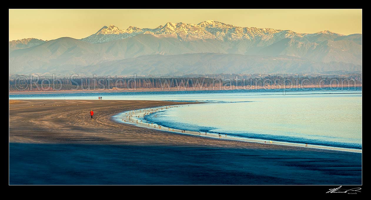 Image of Tahunanui Beach in Tasman Bay. Rabbit Island and the Arthur Range in Kahurangi National Park beyond. Winter early morning with walkers and birds. Panorama, Nelson, Nelson City District, Nelson Region, New Zealand (NZ) stock photo image