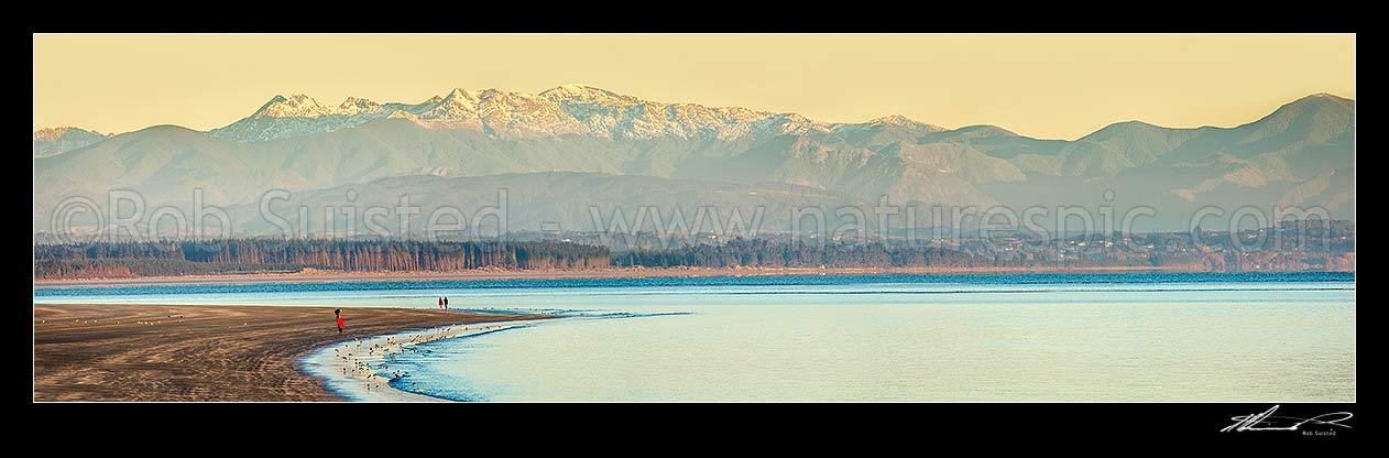 Image of Tahunanui Beach in Tasman Bay. Rabbit Island and the Arthur Range in Kahurangi National Park beyond. Winter early morning with walkers and birds. Panorama, Nelson, Nelson City District, Nelson Region, New Zealand (NZ) stock photo image