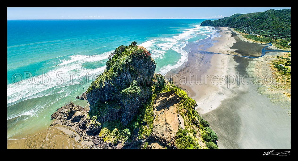 Image of Piha Beach and aerial panorama over iconic Lion Rock and walkway, with North Piha Beach and Te Waha Point beyond. Auckland West Coast and Waitakere Ranges. Flowering Pohutukawa, Piha Beach, Waitakere City District, Auckland Region, New Zealand (NZ) stock photo image