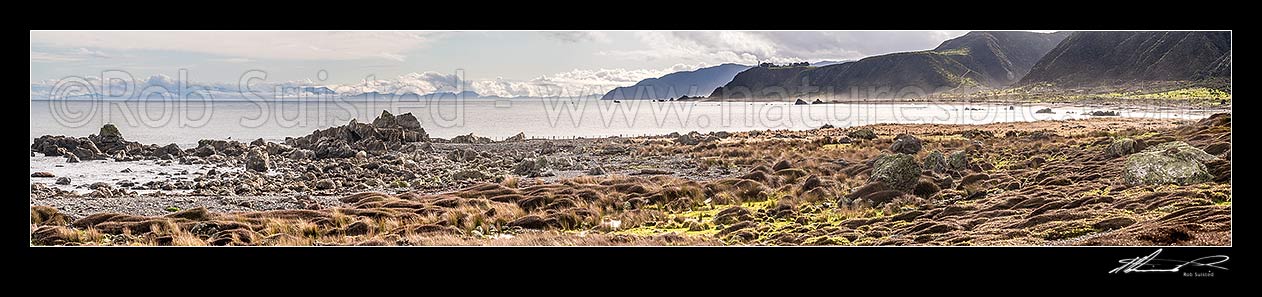 Image of Baring Head (right) and Sinclair Head (centre) seen from Turakirae Head Scientific Reserve. Cook Strait and South Island at left. Panorama, Turakirae Head, Hutt City District, Wellington Region, New Zealand (NZ) stock photo image