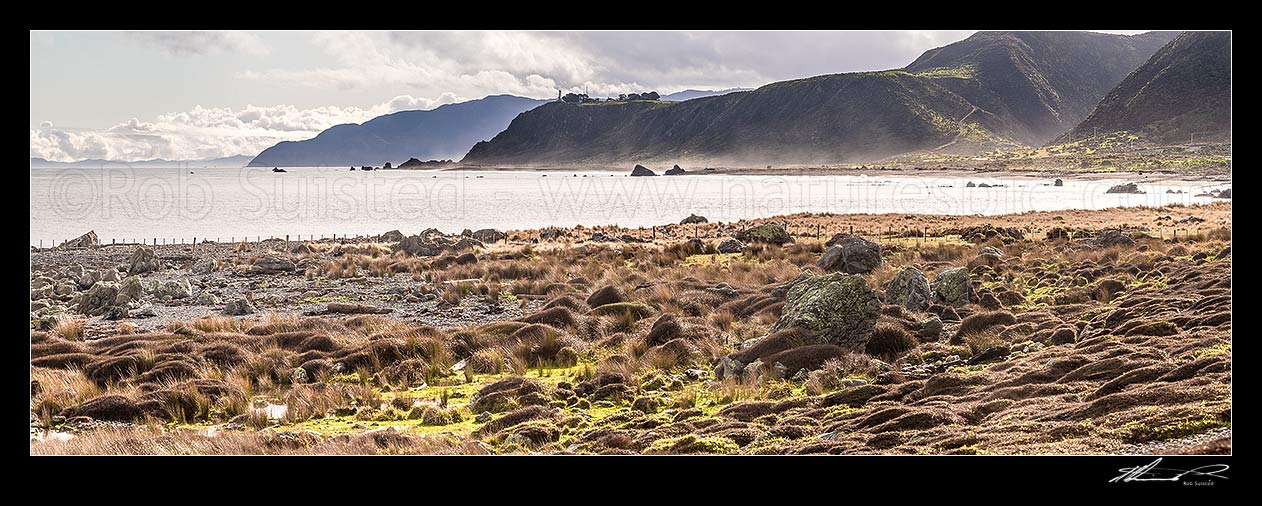 Image of Baring Head (centre) and Sinclair Head (right) seen from Turakirae Head Scientific Reserve. Cook Strait and South Island far left. Wainuiomata River valley far right. Panorama, Turakirae Head, Hutt City District, Wellington Region, New Zealand (NZ) stock photo image