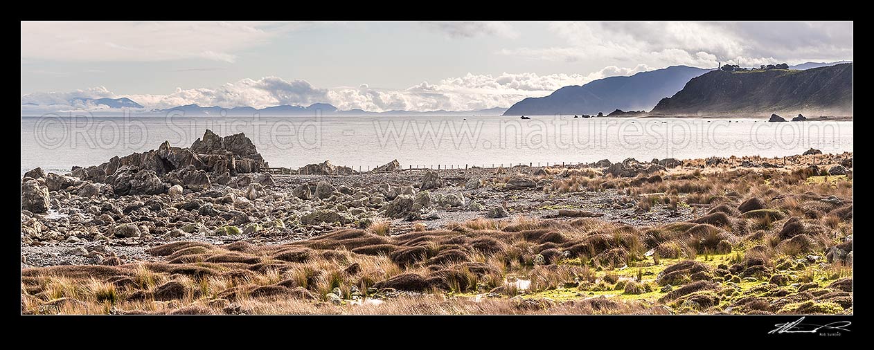 Image of Baring Head (right) and Sinclair Head (centre right) seen from Turakirae Head Scientific Reserve. Cook Strait and South Island at left. Panorama, Turakirae Head, Hutt City District, Wellington Region, New Zealand (NZ) stock photo image