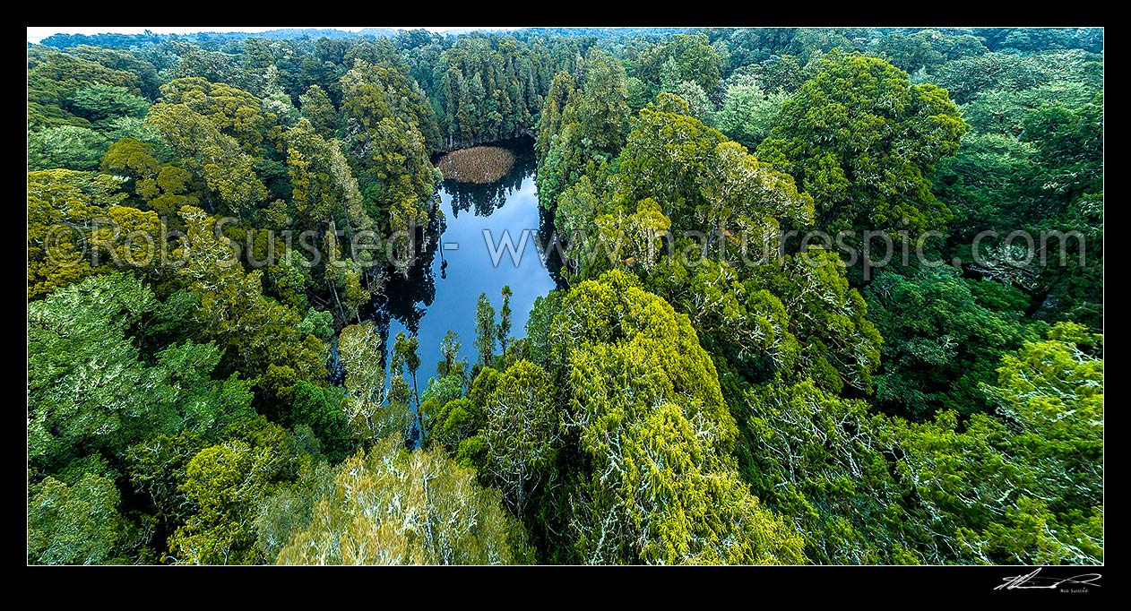 Image of Waihora Lagoon amongst old growth podocarp forest. Aerial panorama over forest canopy, Pureora Forest Park, Waitomo District, Waikato Region, New Zealand (NZ) stock photo image