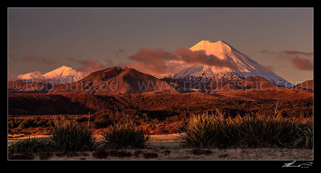 Image of Mt Ngauruhoe (2287m), a volcano in Tongariro National Park, at dusk. Mount Tongariro at left and Pukekaikiore (1692m) centre left. Panorama view from Whakapapa Village, Tongariro National Park, Ruapehu District, Manawatu-Wanganui Region, New Zealand (NZ) stock photo image