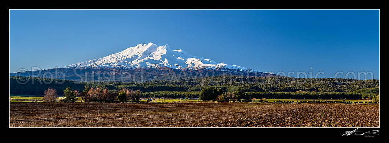 Image of Mt Ruapehu (2797m) in Tongariro National Park, seen from near Rangataua farmland being worked ready for spring planting of crops. Winter panorama, Ohakune, Ruapehu District, Manawatu-Wanganui Region, New Zealand (NZ) stock photo image