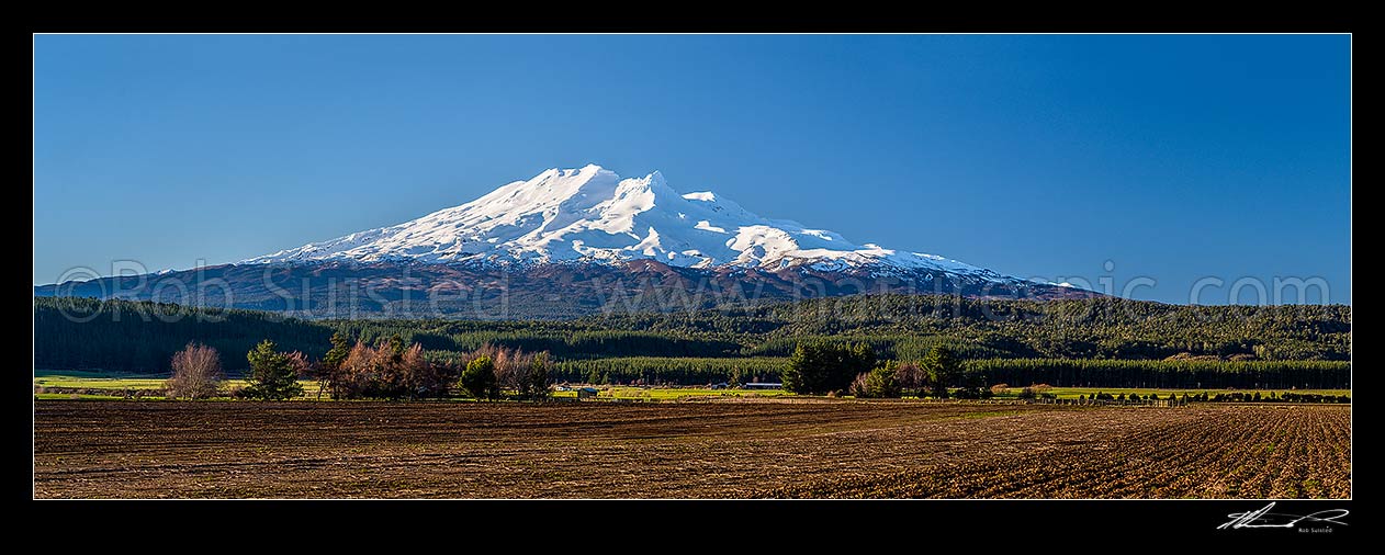 Image of Mt Ruapehu (2797m) in Tongariro National Park, seen from near Rangataua farmland being worked ready for spring planting of crops. Winter panorama, Ohakune, Ruapehu District, Manawatu-Wanganui Region, New Zealand (NZ) stock photo image