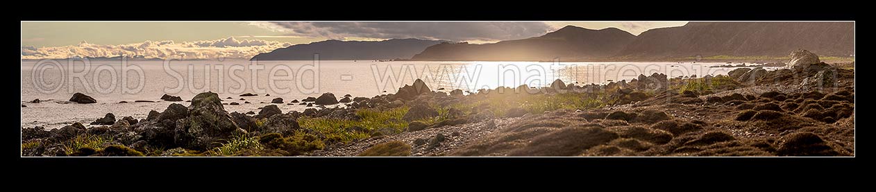 Image of Turakirae Head evening, looking back towards Wellington. Baring Head centre, with Sinclair Head and Cook Strait at left. Turakirae Head Scientific Reserve. Foreground focus. Panorama, Turakirae Head, Hutt City District, Wellington Region, New Zealand (NZ) stock photo image