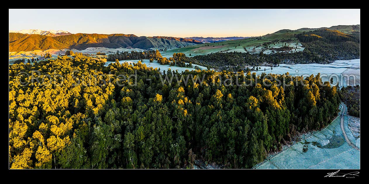 Image of Balls Clearing Scenic Reserve native forest lit by sunrise. Clifton Conservation Area with heavy frost, as sun rises. Mt Hukanui (988m) above. Headwaters of Mangatutu Stream. Aerial view, Puketitiri, Hastings District, Hawke's Bay Region, New Zealand (NZ) stock photo image