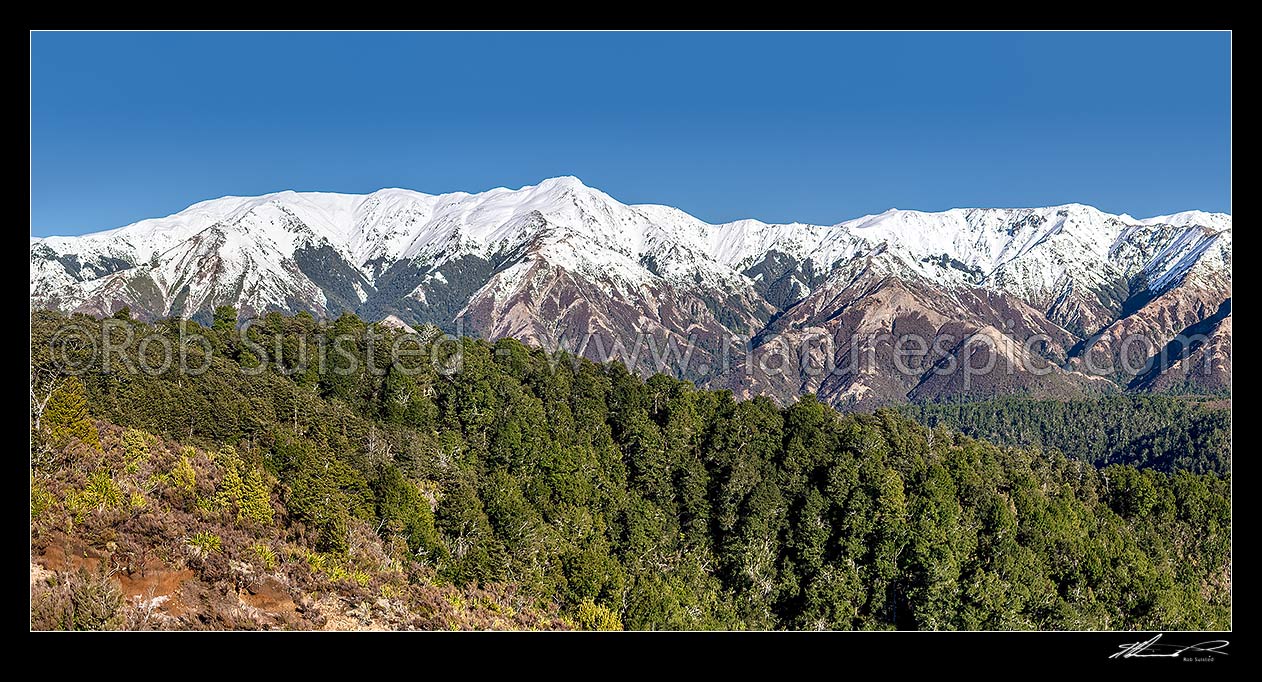 Image of Kaweka Range, Kaweka Forest Park, in winter snow. Mt Kaweka (1724m) highest point. Seen from the east. Panorama, Puketitiri, Hastings District, Hawke's Bay Region, New Zealand (NZ) stock photo image