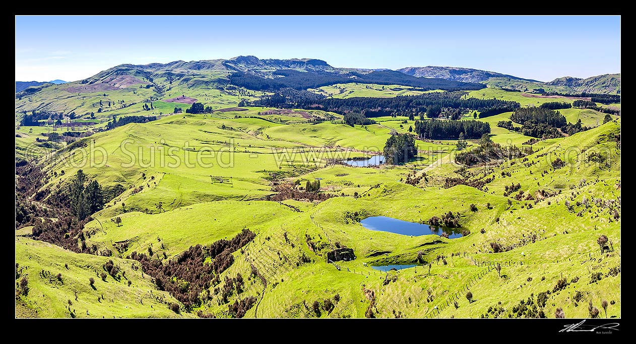 Image of Farmland panorama over hill country near Puketitiri, with lush spring growth. Looking across to Mt Hukanui beyond, Puketitiri, Hastings District, Hawke's Bay Region, New Zealand (NZ) stock photo image