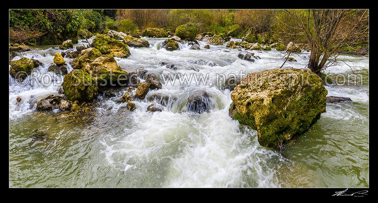 Image of Makuri River rapids in the Makuri Gorge Scenic Reserve, Northern Wairarapa. Panorama, Makuri, Tararua District, Manawatu-Wanganui Region, New Zealand (NZ) stock photo image