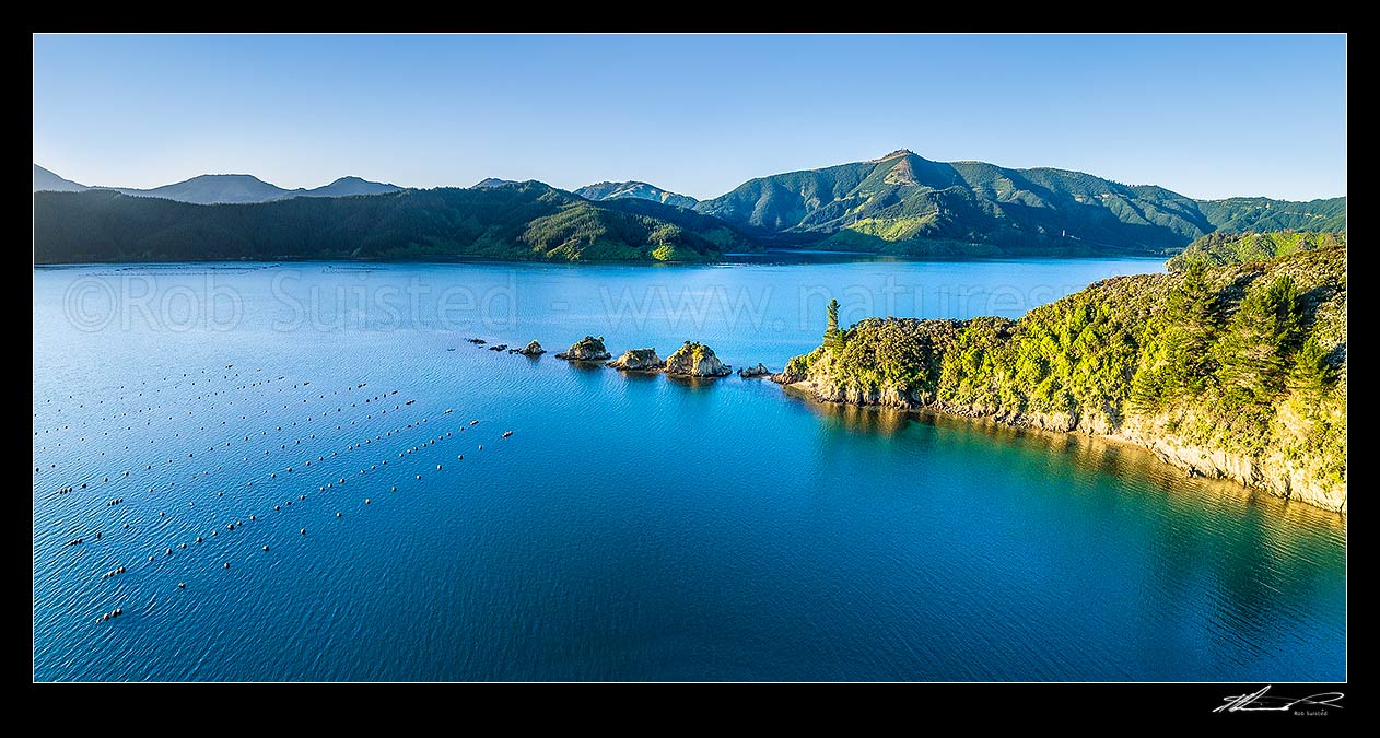 Image of Port Underwood, Marlborough Sounds. Mussel farms in Tumbledown Bay, with The Knobbys rocks and Whangakoko bay behind. Aerial panorama, Port Underwood, Marlborough District, Marlborough Region, New Zealand (NZ) stock photo image