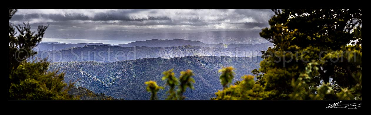 Image of Wellington Harbour seen from above the Wainuiomata Water Collection Area in the Remutaka (Rimutaka) Ranges. Moody panorama as weather breaks. Panorama, Remutaka Range, Wainuiomata, Hutt City District, Wellington Region, New Zealand (NZ) stock photo image