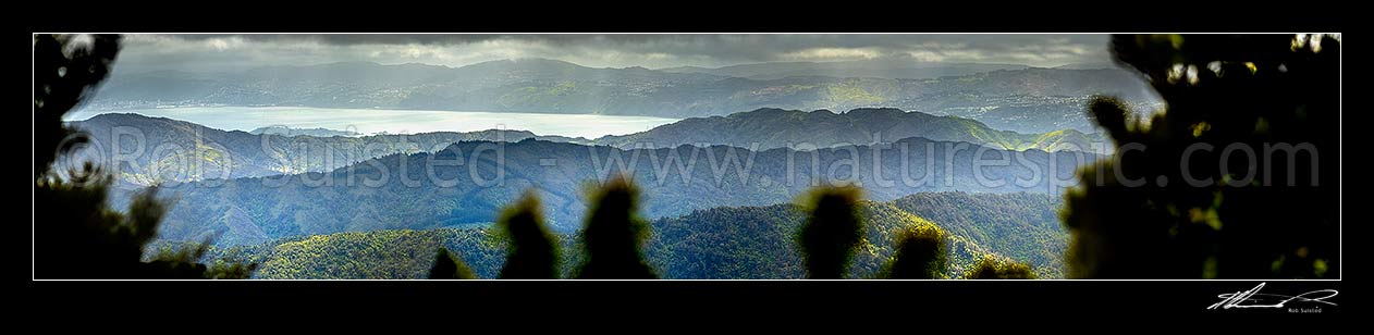 Image of Wellington forested ranges seen from above the Wainuiomata Water Collection Area in the Remutaka (Rimutaka) Ranges. Moody view as weather breaks. Panorama, Remutaka Range, Wainuiomata, Hutt City District, Wellington Region, New Zealand (NZ) stock photo image