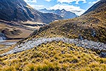 Merino sheep flock muster, Shotover