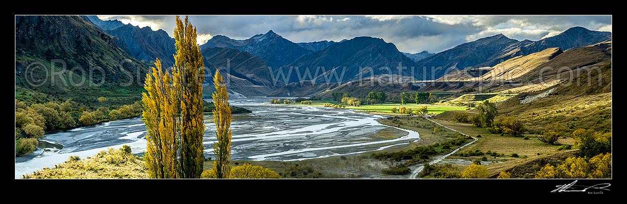 Image of Shotover River and The Branches Station flats lit by sunlight with autumn coloured trees. Mt Greenland (1906m) at left. Panorama created for massive mural, Branches Station, Shotover Valley, Queenstown Lakes District, Otago Region, New Zealand (NZ) stock photo image