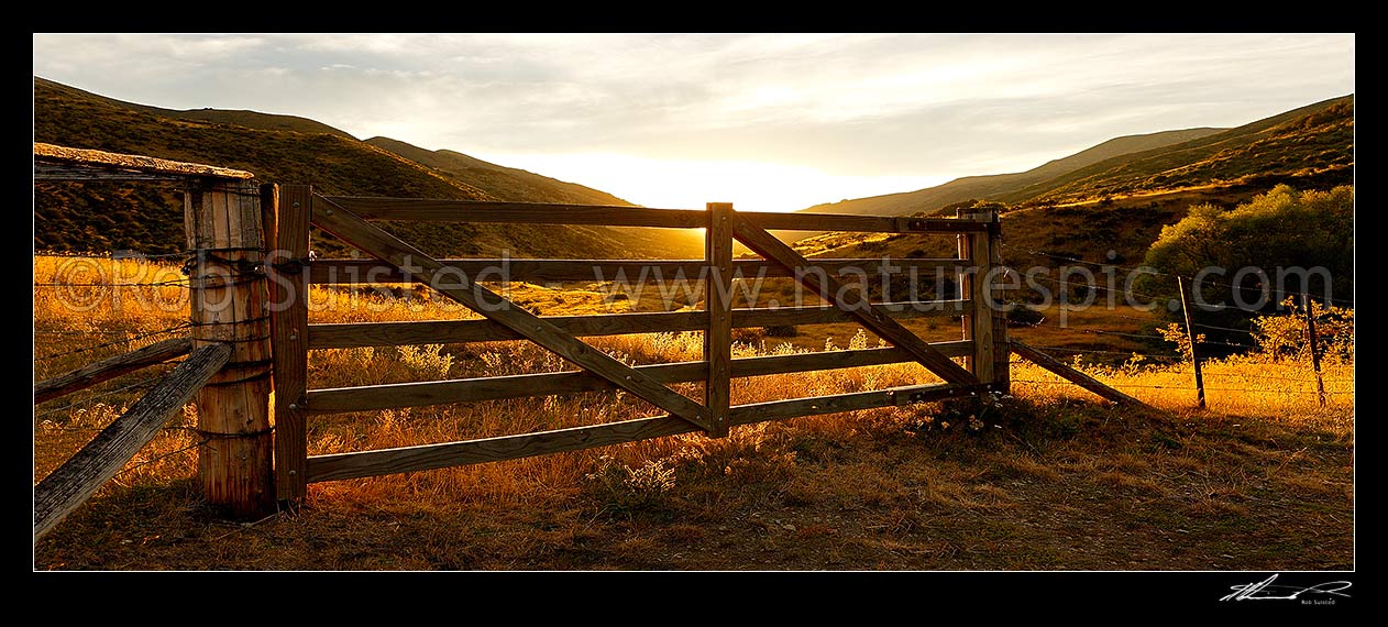 Image of Golden gate, farm gate at sunset in dry Marlborough high country farmland, Molesworth Station, Marlborough District, Marlborough Region, New Zealand (NZ) stock photo image