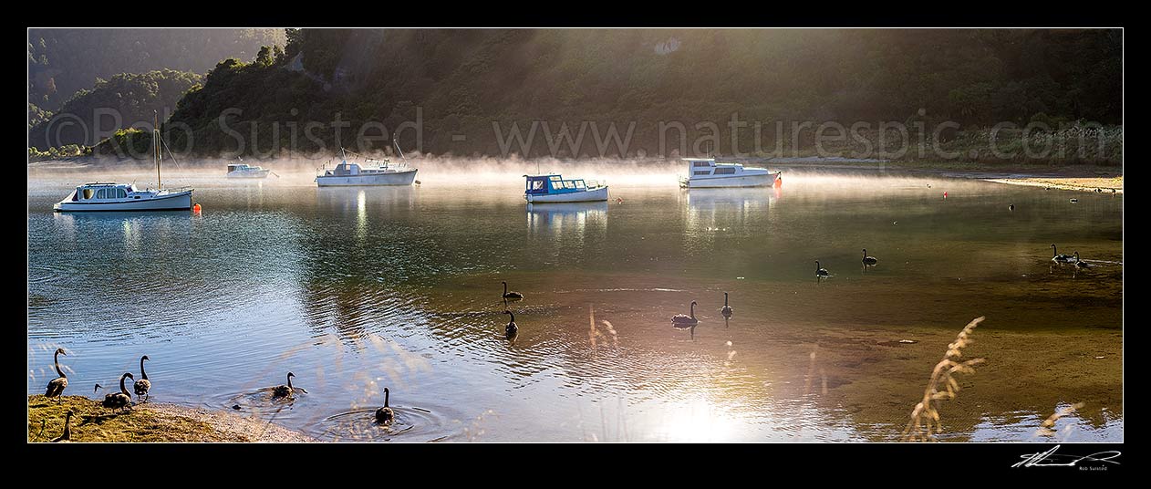 Image of Lake Waikaremoana, with boats moored in Te Karetu Inlet with morning mist hanging over the lake. Te Urewera. Panorama, Waikaremoana, Wairoa District, Hawke's Bay Region, New Zealand (NZ) stock photo image