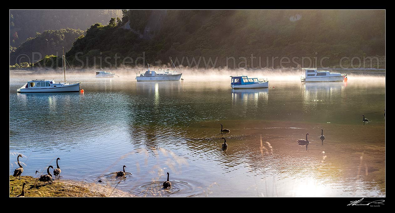 Image of Lake Waikaremoana, with boats moored in Te Karetu Inlet with morning mist hanging over the calm reflective lake. Te Urewera. Panorama, Waikaremoana, Wairoa District, Hawke's Bay Region, New Zealand (NZ) stock photo image