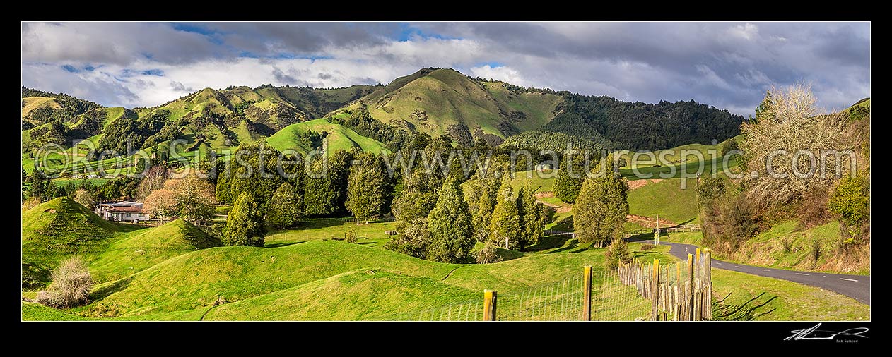 Image of Ruatahuna farmland in the heart of Te Urewera. Panorama, Ruatahuna, Whakatane District, Bay of Plenty Region, New Zealand (NZ) stock photo image