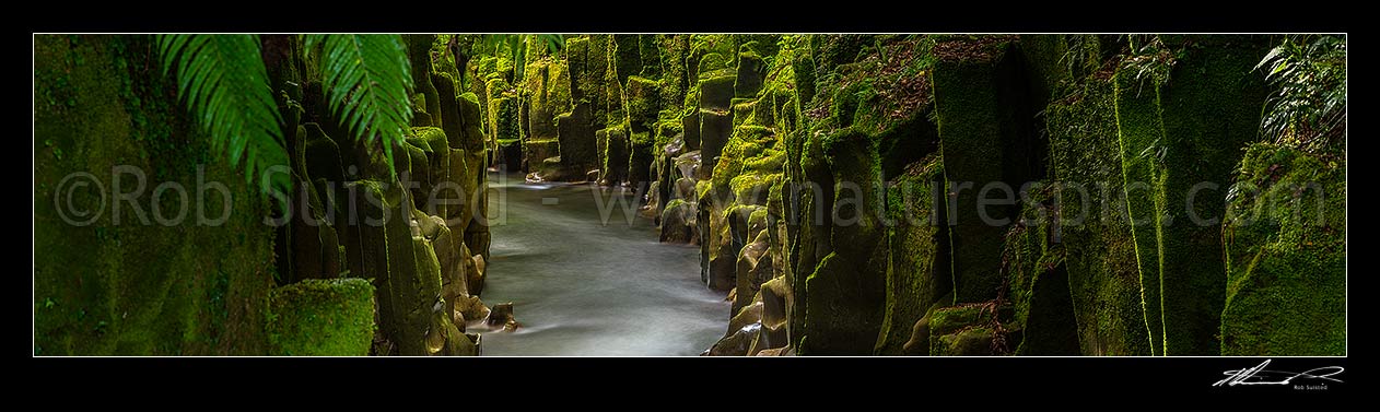 Image of Te Whaiti-Nui-A-Toi Canyon and Whirinaki River in Whirinaki Te Pua-a-Tane Conservation Park. Whirinaki Forest Park. A post eruption ignimbrite gorge. Panorama, Minginui, Whakatane District, Bay of Plenty Region, New Zealand (NZ) stock photo image