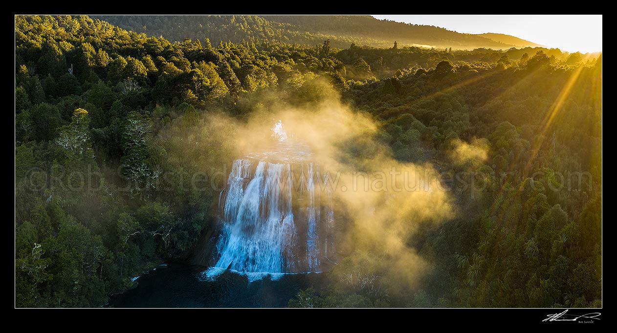 Image of Papakorito Falls, Aniwaniwa Stream, Te Urewera forest, at dawn. Panorama, Te Urewera, Wairoa District, Hawke's Bay Region, New Zealand (NZ) stock photo image