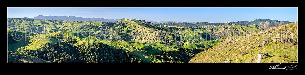 Image of Northern Hawkes Bay hill country farmland of the Mangaone Stream Waiau River area. Panekiri Range left distance. Panorama, Mohaka, Wairoa District, Hawke's Bay Region, New Zealand (NZ) stock photo image