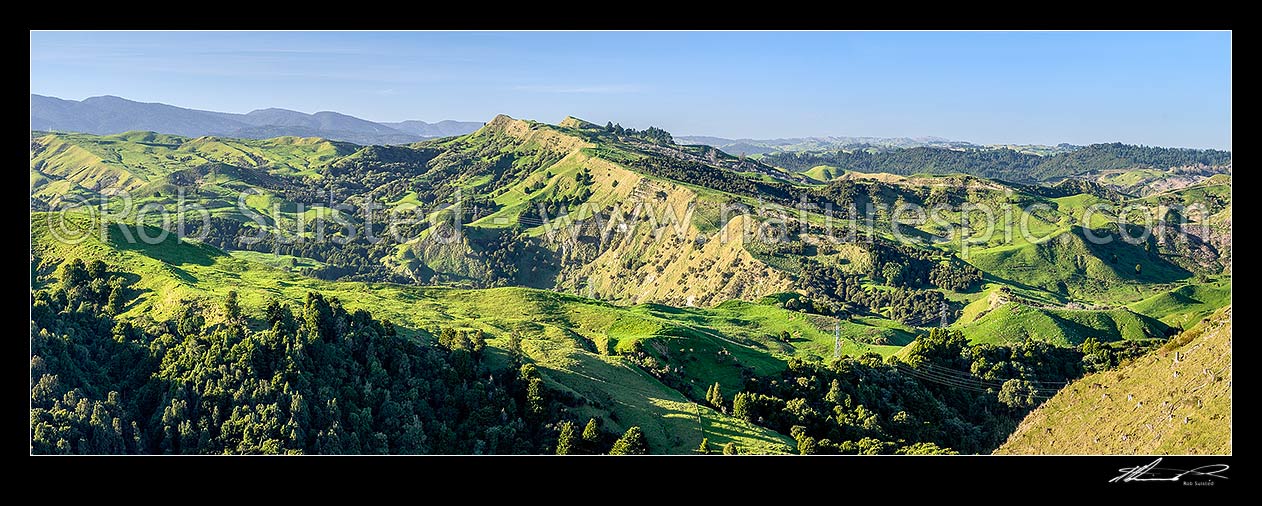 Image of Northern Hawkes Bay hill country farmland of the Mangaone Stream Waiau River area. Panekiri Range left distance. Panorama, Mohaka, Wairoa District, Hawke's Bay Region, New Zealand (NZ) stock photo image