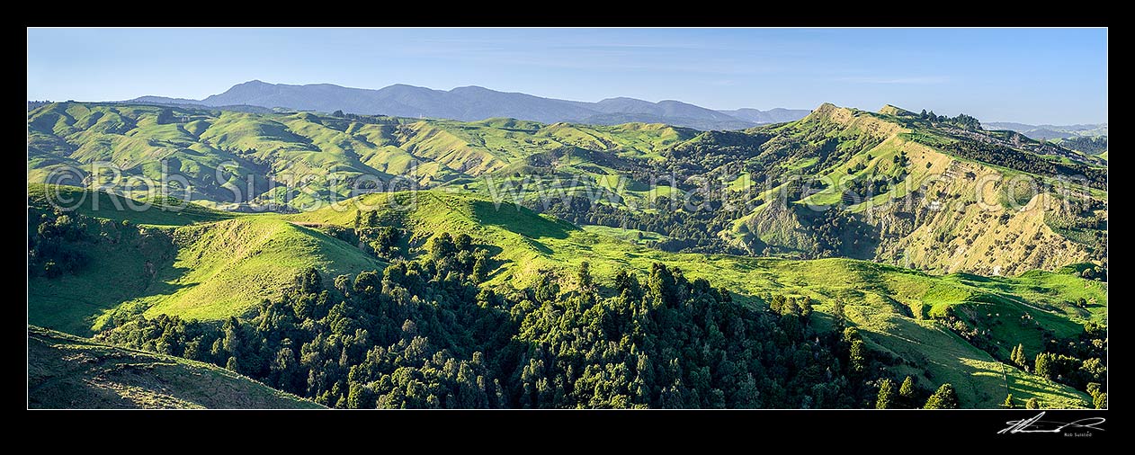 Image of Northern Hawkes Bay hill country farmland of the Mangaone Stream Waiau River area. Panekiri Range beyond. Panorama with native forest remnants, Mohaka, Wairoa District, Hawke's Bay Region, New Zealand (NZ) stock photo image