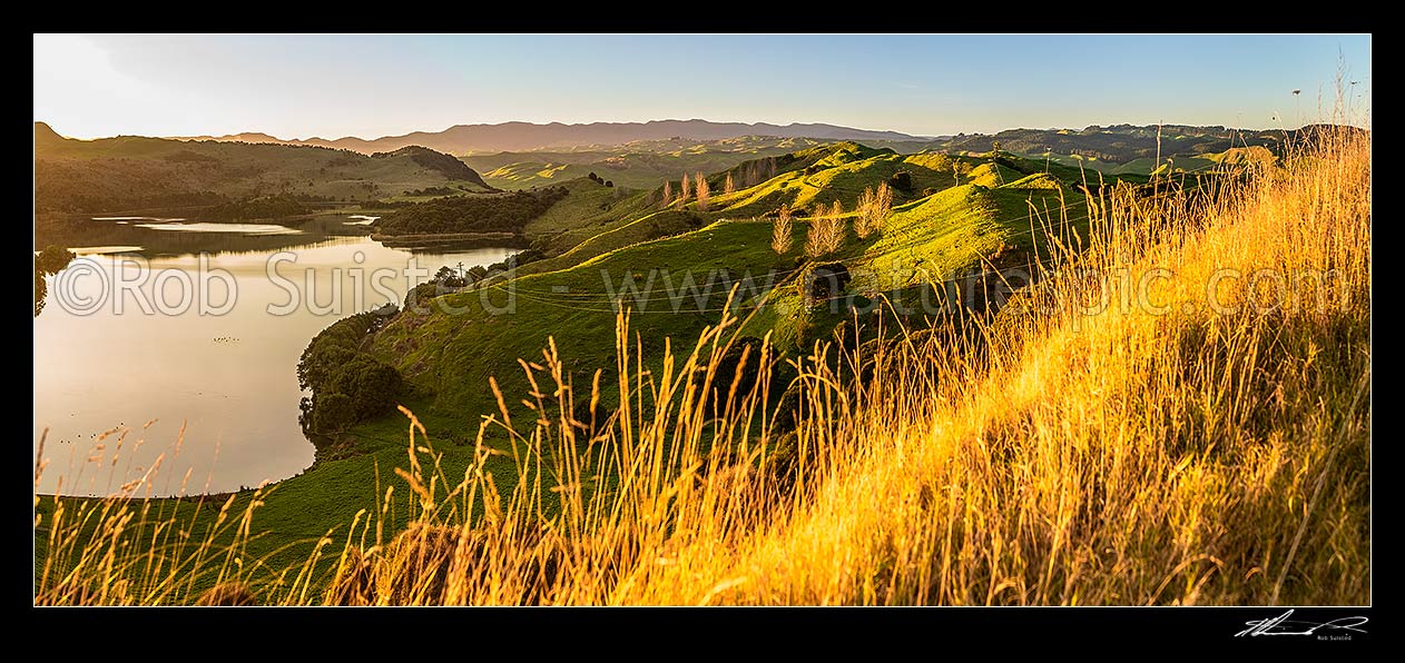 Image of Lake Rotonuiaha, nestled in northern Hawkes Bay farmland. Golden autumn colours and poplar trees at dusk. Panekiri Range and Wairau River trench beyond right. Panorama, Mohaka, Wairoa District, Hawke's Bay Region, New Zealand (NZ) stock photo image