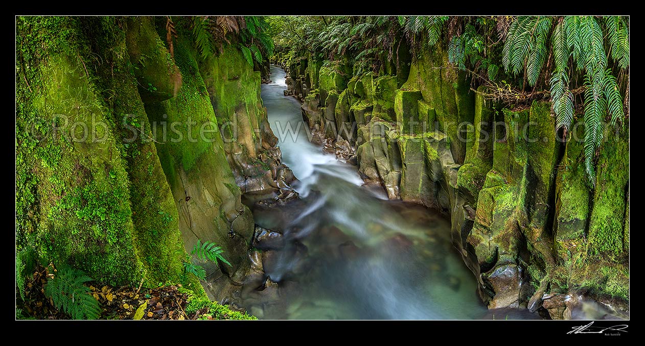 Image of Te Whaiti-Nui-A-Toi Canyon and Whirinaki River in Whirinaki Te Pua-a-Tane Conservation Park. Whirinaki Forest Park. A post eruption ignimbrite gorge. Panorama, Minginui, Whakatane District, Bay of Plenty Region, New Zealand (NZ) stock photo image