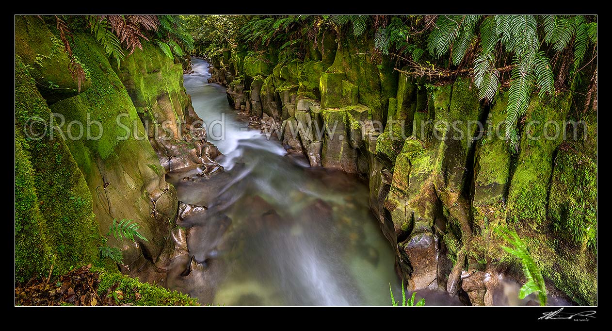 Image of Whirinaki River rushing through Te Whaiti-Nui-A-Toi Canyon  in Whirinaki Te Pua-a-Tane Conservation Park. Whirinaki Forest Park. A post eruption ignimbrite gorge. Panorama, Minginui, Whakatane District, Bay of Plenty Region, New Zealand (NZ) stock photo image