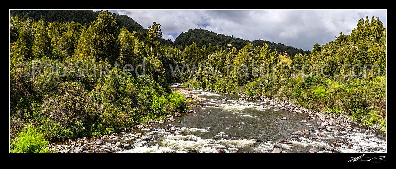 Image of Whakapapa River in the Tongariro Conservation Area. Tongariro Forest. Panorama, Owhango, Ruapehu District, Manawatu-Wanganui Region, New Zealand (NZ) stock photo image