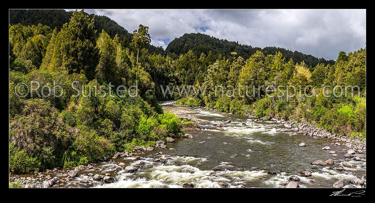 Image of Whakapapa River in the Tongariro Conservation Area. Tongariro Forest. Panorama, Owhango, Ruapehu District, Manawatu-Wanganui Region, New Zealand (NZ) stock photo image