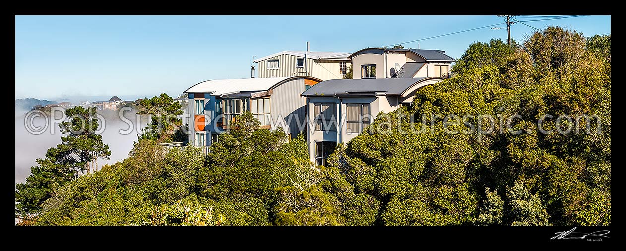 Image of Houses built amongst native forest, bush and trees, in Wellington suburb. Panorama, Wellington City District, Wellington Region, New Zealand (NZ) stock photo image