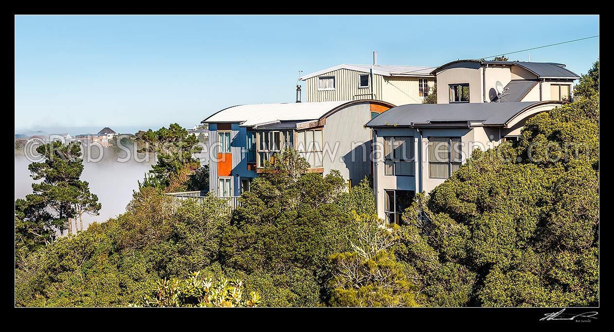 Image of Houses built amongst native forest, bush and trees, in Wellington suburb. Panorama, Wellington City District, Wellington Region, New Zealand (NZ) stock photo image