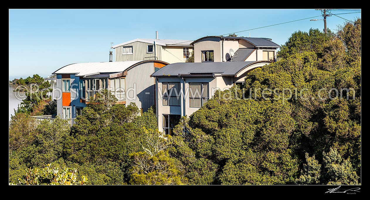 Image of Houses built amongst native forest, bush and trees, in Wellington suburb. Panorama, Wellington City District, Wellington Region, New Zealand (NZ) stock photo image