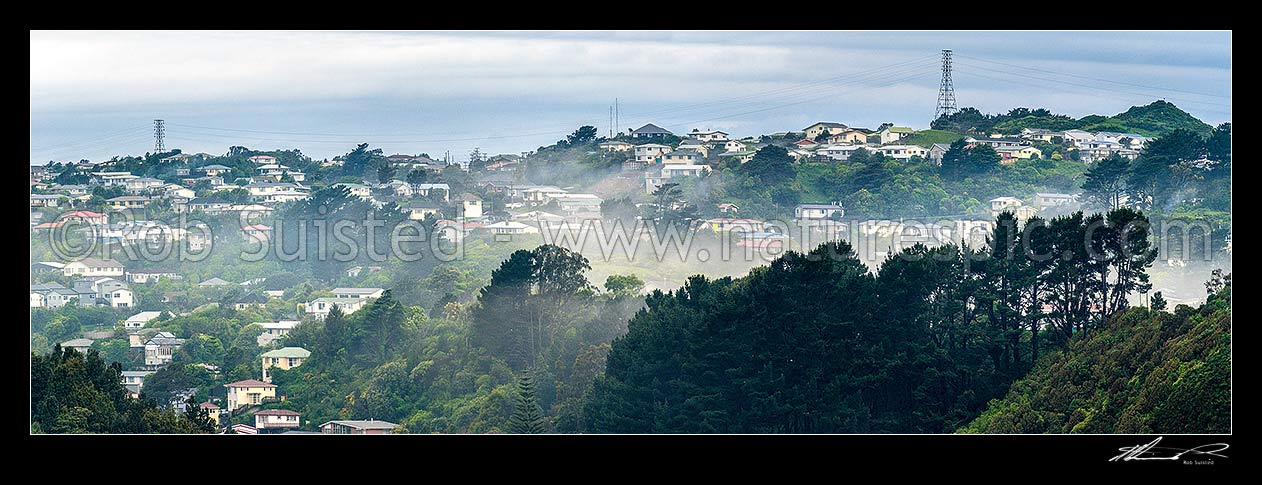 Image of Newlands suburb view as mist lifts off after warm rain. Houses amongst green suburb. Panorama, Newlands, Wellington City District, Wellington Region, New Zealand (NZ) stock photo image