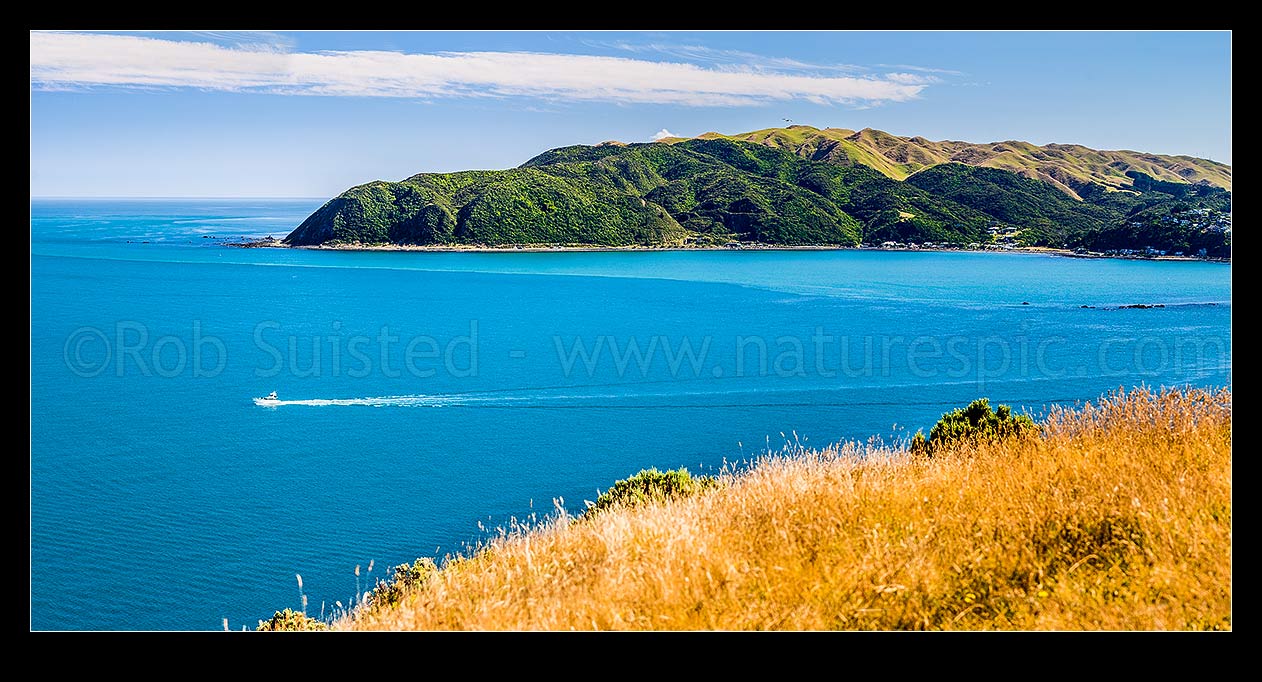 Image of Boat leaving Porirua Harbour, between Titahi Bay and Plimmerton. Te Rewarewa Point and Hongoeka Bay behind. Panorama, Plimmerton, Porirua City District, Wellington Region, New Zealand (NZ) stock photo image