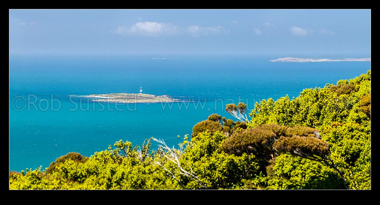 Image of Dog Island and Dog Island Lighthouse, in Foveaux Strait, seen from Bluff Hill. Ruapuke Island top right. Panorama view, Bluff, Invercargill District, Southland Region, New Zealand (NZ) stock photo image