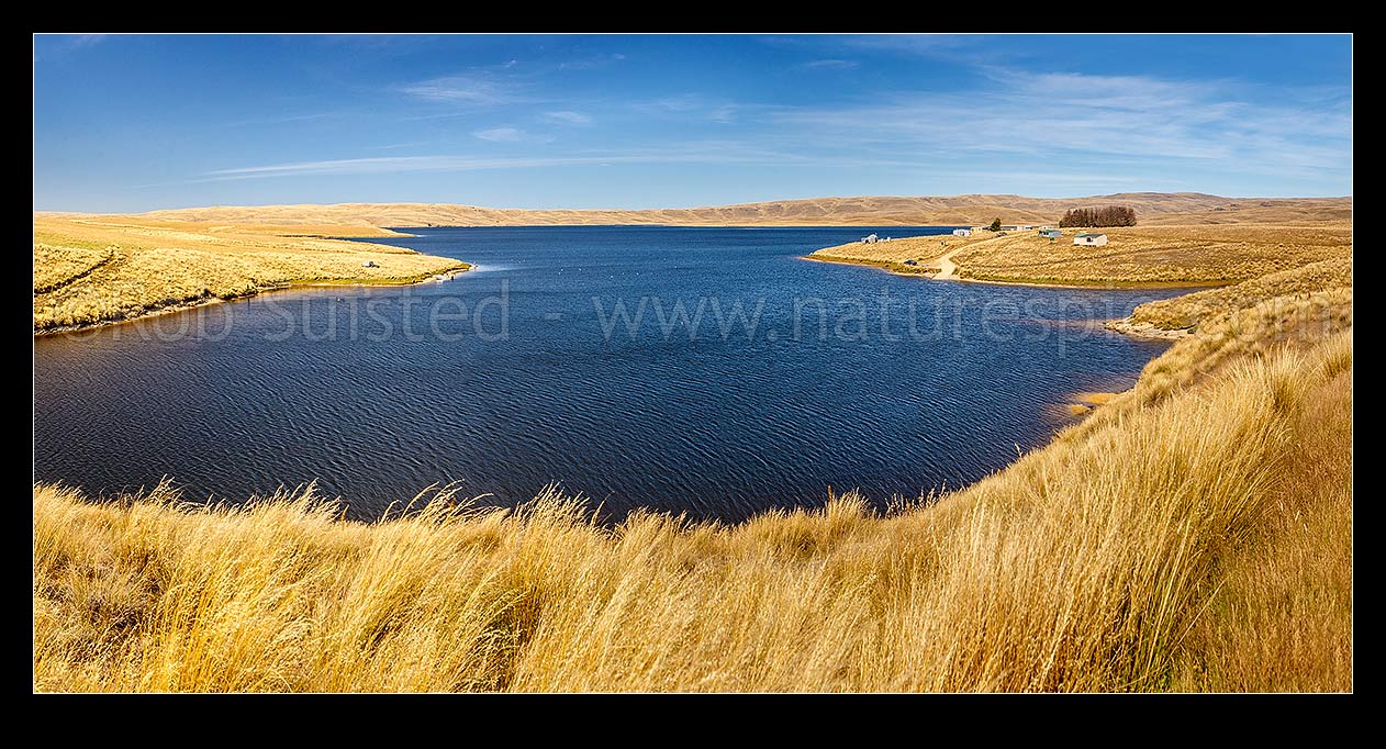 Image of Lake Onslow, with cribs at Teviot River outlet. Formed in 1890 by damming of Teviot River and Dismal Swamp. 700m ASL in barren tussock grassland landscape. Panorama, Roxburgh, Central Otago District, Otago Region, New Zealand (NZ) stock photo image