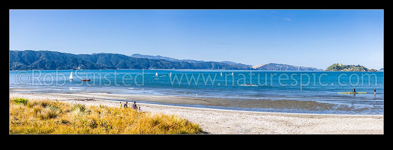 Image of Petone Beach rowing and sailing practice. Eastern Bays (left), Matiu Somes Island and Wellington Harbour behind. Panorama, Petone, Hutt City District, Wellington Region, New Zealand (NZ) stock photo image