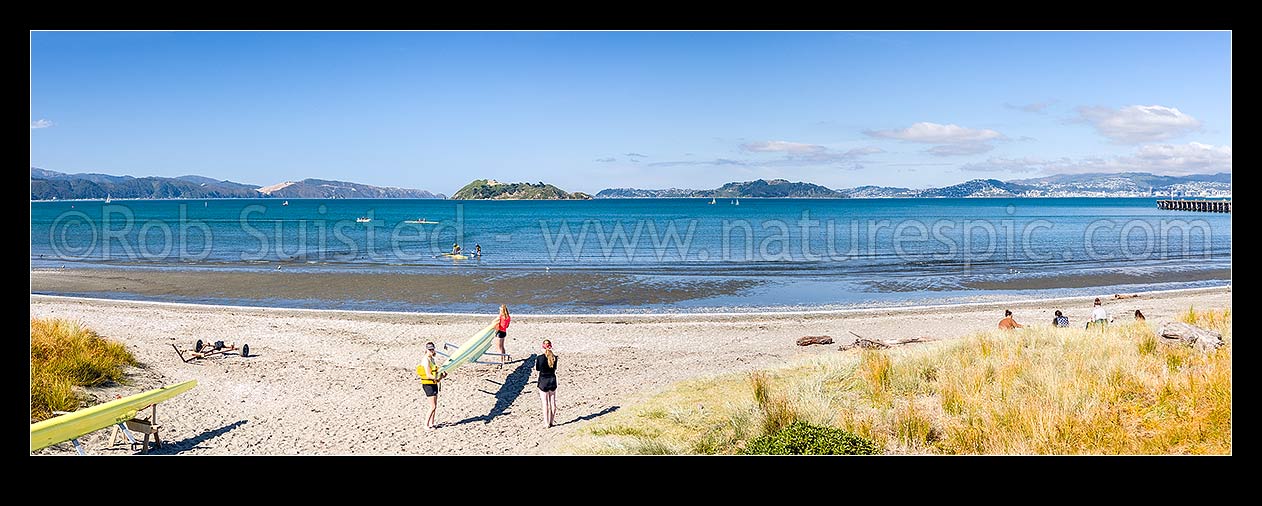 Image of Petone Beach rowing, with people carrrying their boat ashore after practice. Matiu Somes Island and Wellington Harbour behind. Panorama, Petone, Hutt City District, Wellington Region, New Zealand (NZ) stock photo image