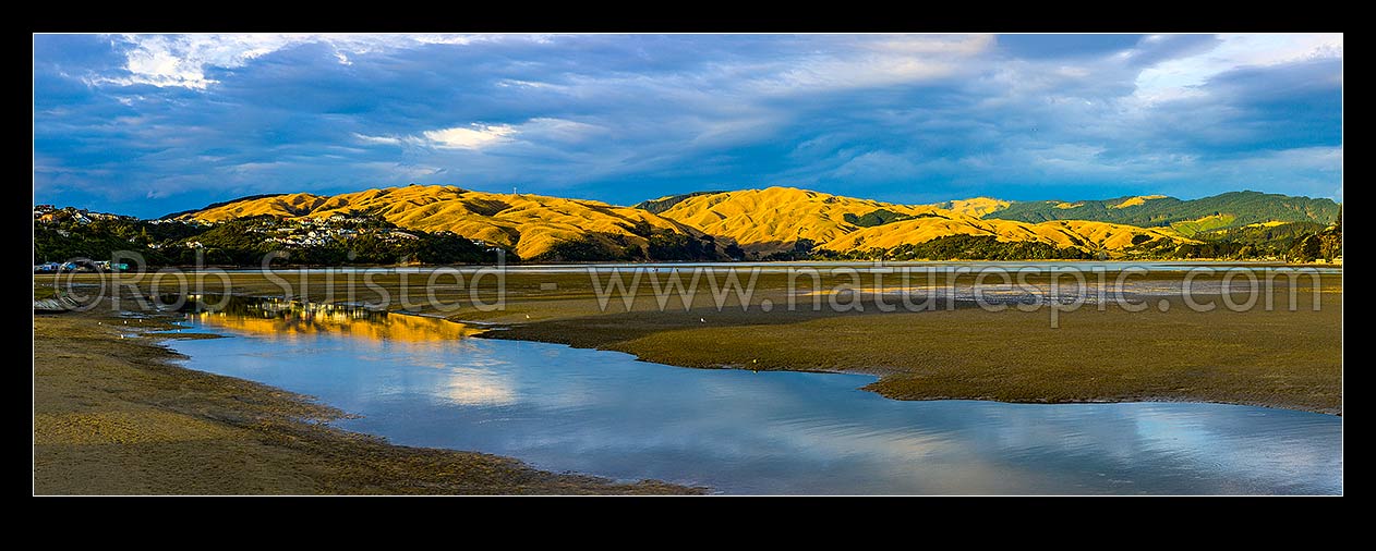 Image of Pauatahanui Inlet arm of Porirua Harbour, with evening light on the northern hills. Seen from Ivey Bay at Paremata. Panorama at low tide, Paremata, Porirua City District, Wellington Region, New Zealand (NZ) stock photo image