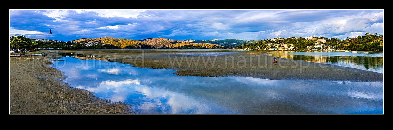 Image of Pauatahanui Inlet arm of Porirua Harbour, with evening light on the northern hills reflecting in the calm low tide water. Seen from Ivey Bay. Panorama, Paremata, Porirua City District, Wellington Region, New Zealand (NZ) stock photo image